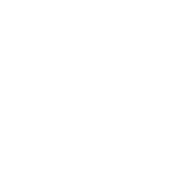 Elora Logo Project